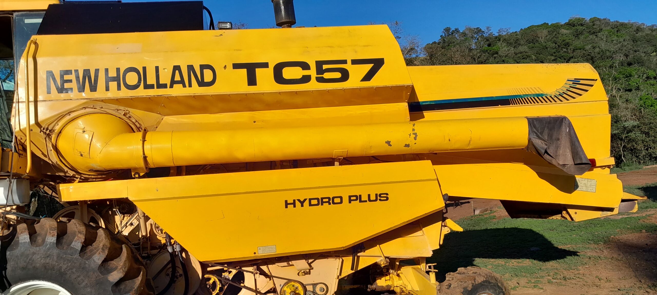 WhatsApp Image 2026-02-03 at 10.14.59 (2)